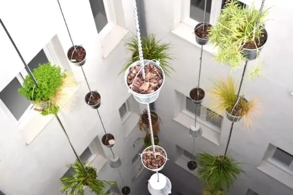  Como Escolher a Melhor Estrutura para um Jardim Vertical Interno