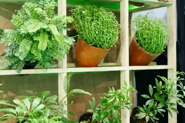 Os jardins verticais são uma solução perfeita para quem deseja trazer mais verde para pequenos espaços, como apartamentos, varandas e escritórios. A