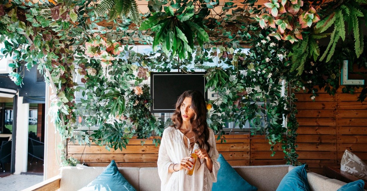 7 Plantas que purificam o ar e deixam sua casa mais bonita